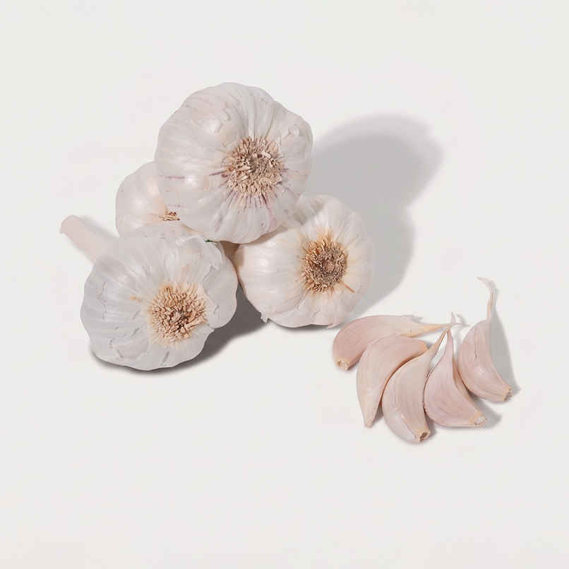 Bloom Garlic