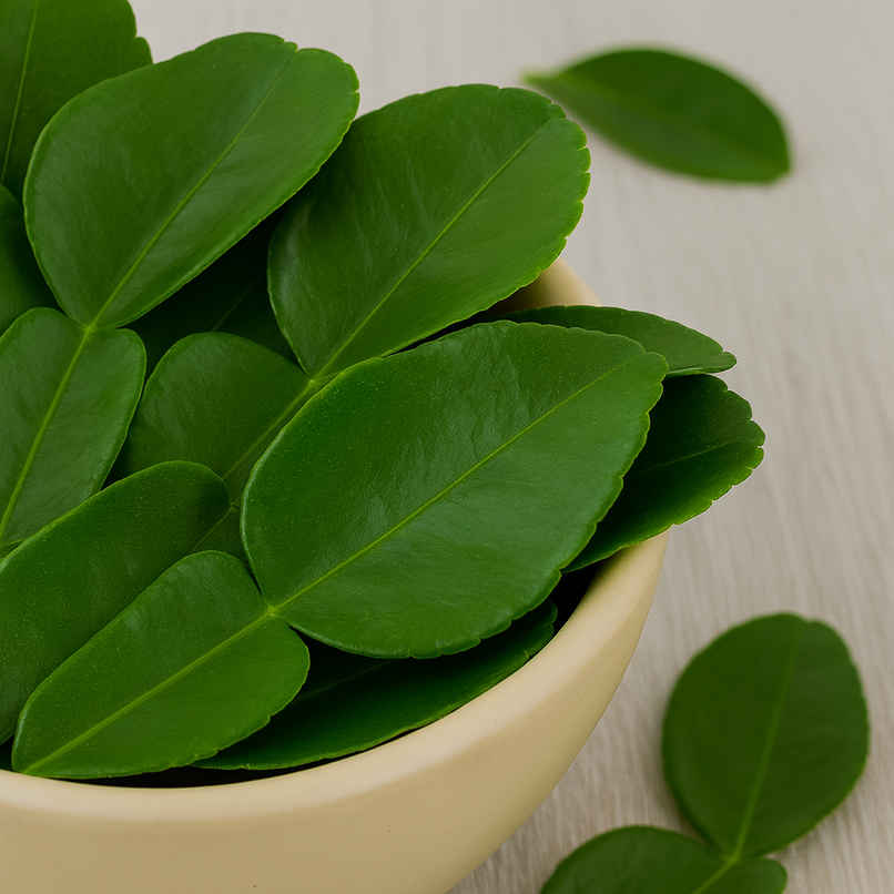 Kaffir Lime Leaves (Makroot)