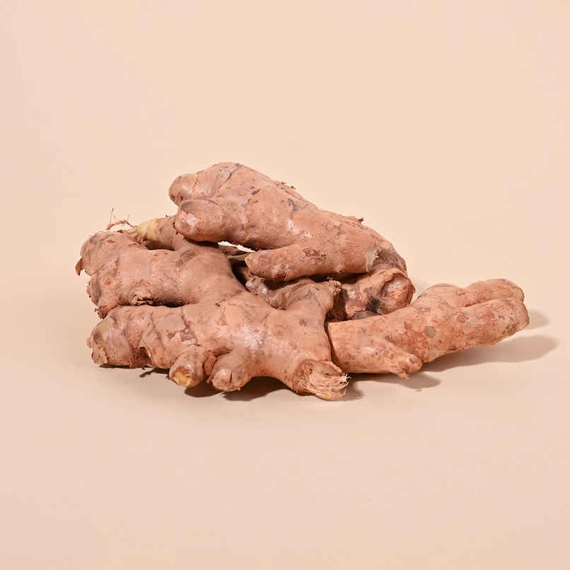 Bloom Ginger