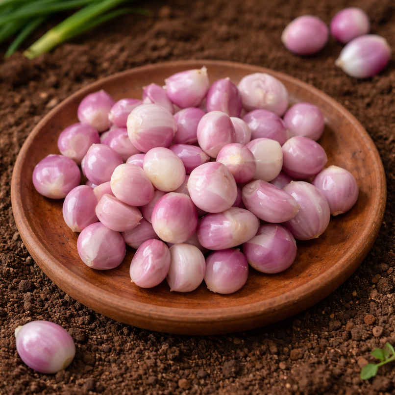 Organically Grown Sambhar Onion Peeled