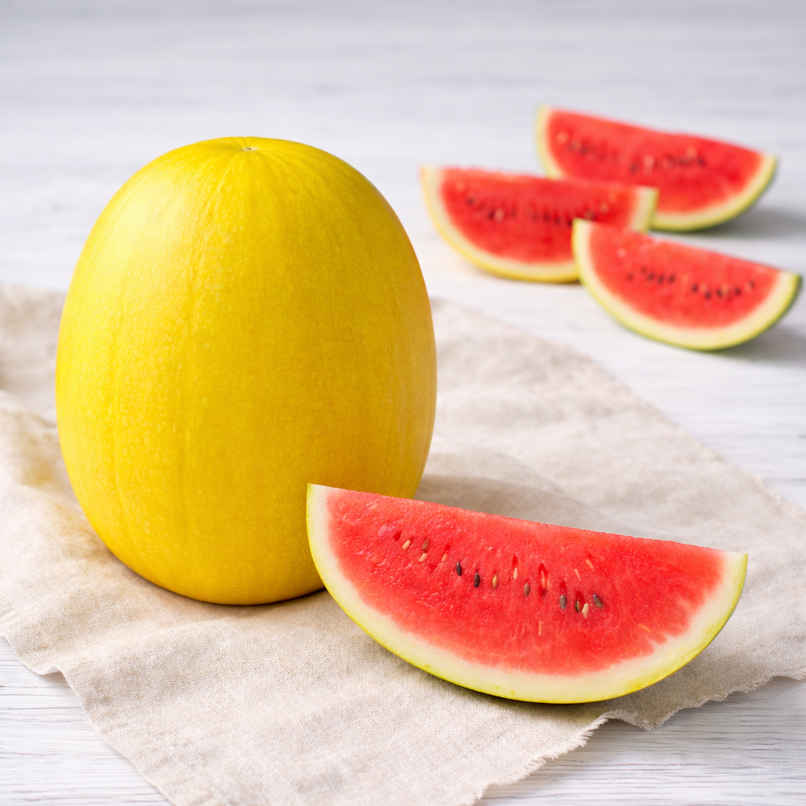 Watermelon Vishala Watermelon Vishala