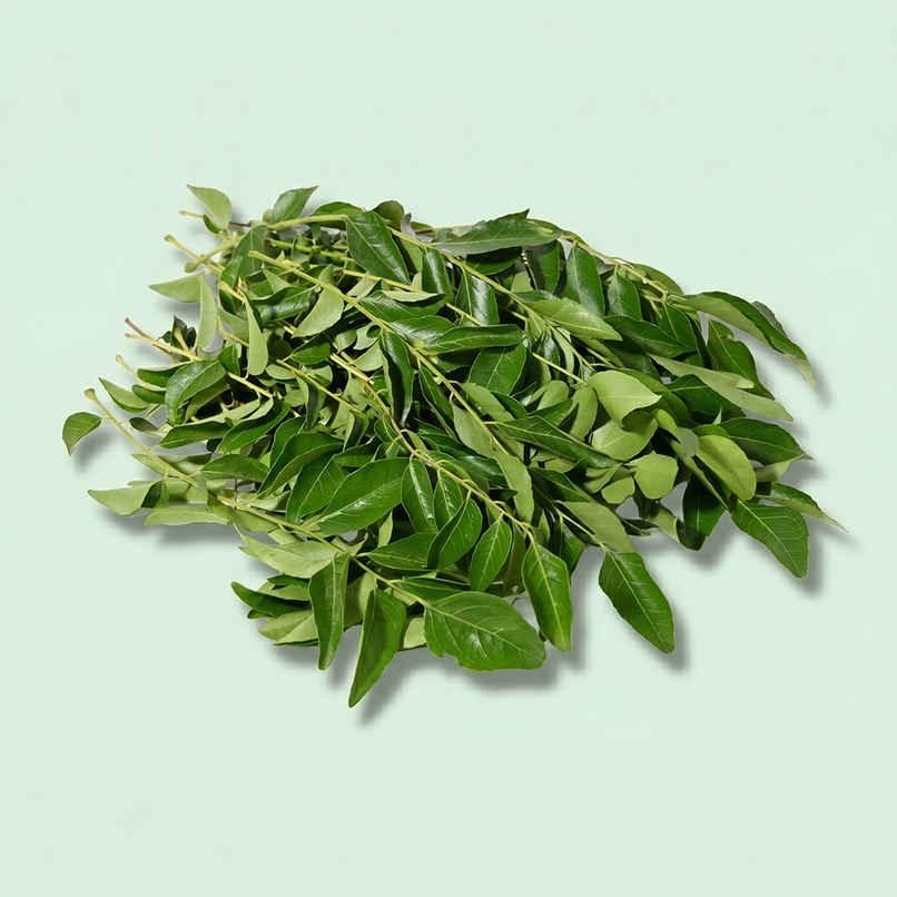 Bloom Curry Leaves - Cleaned, without roots Bloom Curry Leaves - Cleaned, without roots