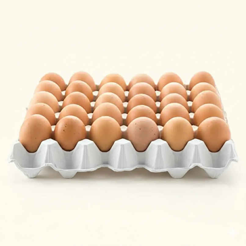 Fresh Brown Eggs Fresh Brown Eggs