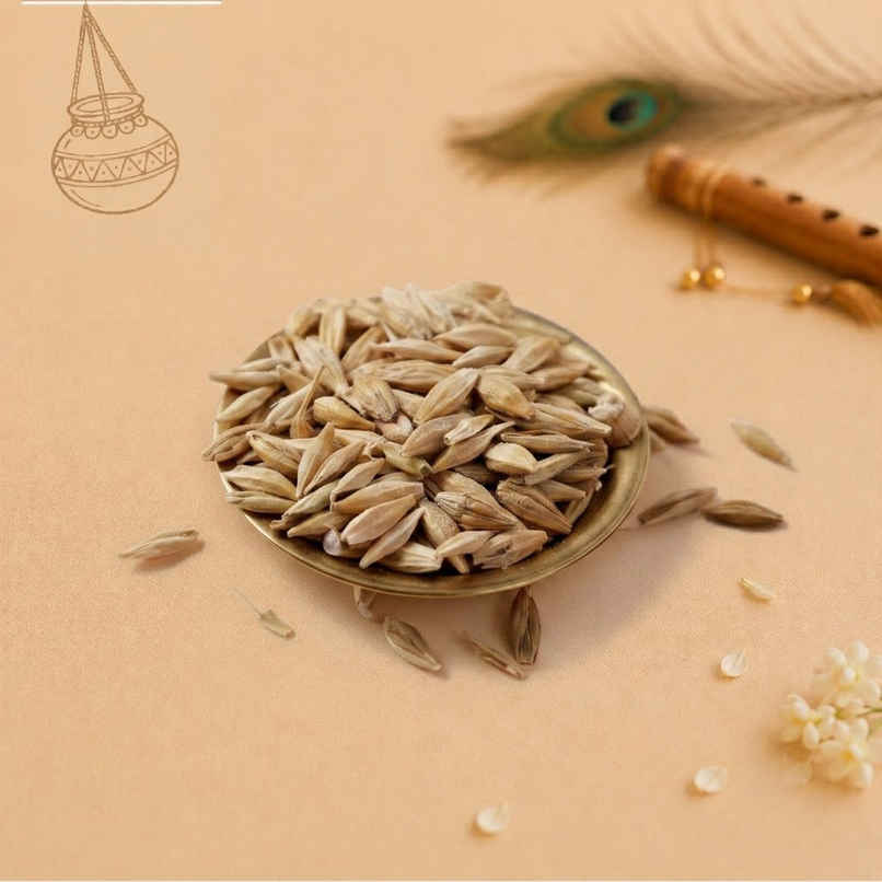 Barley Seeds | Jau | Happy Mail Barley Seeds | Jau | Happy Mail