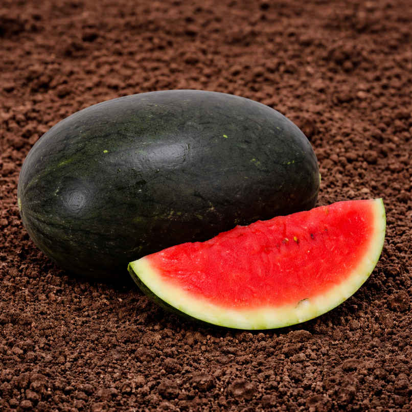 Organically Grown Watermelon Organically Grown Watermelon