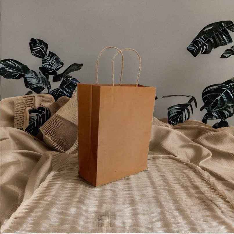 Tempware Paper Carry Bag 9x6x7 Weight Upto (1/2Kg) | Pack of 10 Tempware Paper Carry Bag 9x6x7 Weight Upto (1/2Kg) | Pack of 10