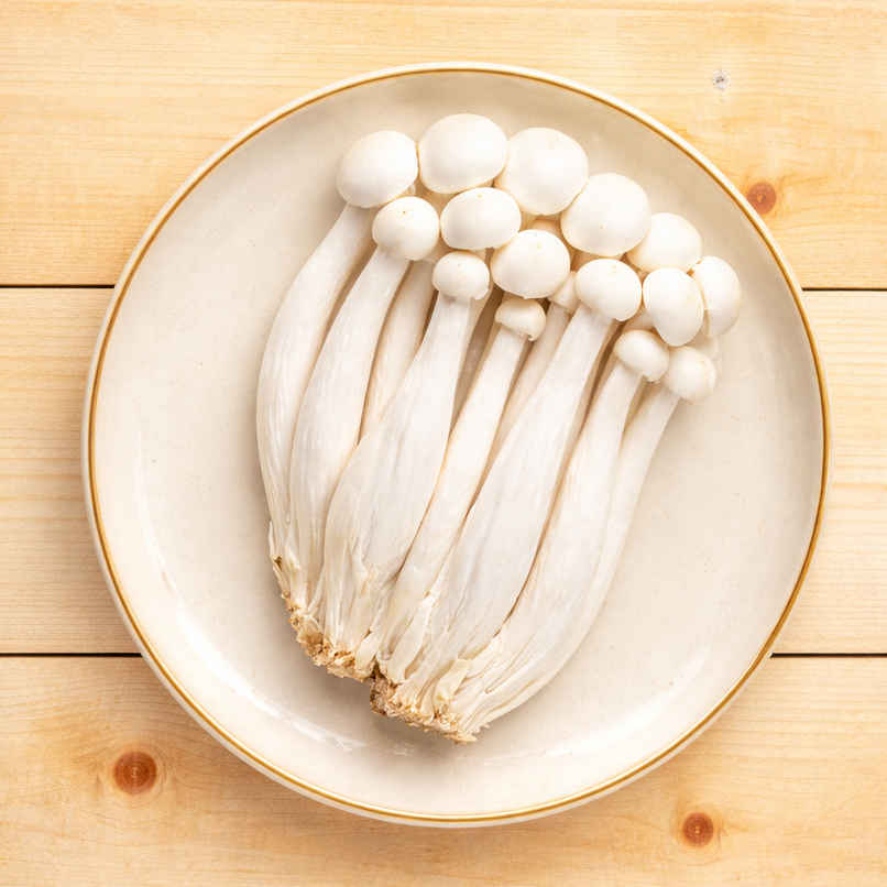 Mushroom Shimeji White Mushroom Shimeji White