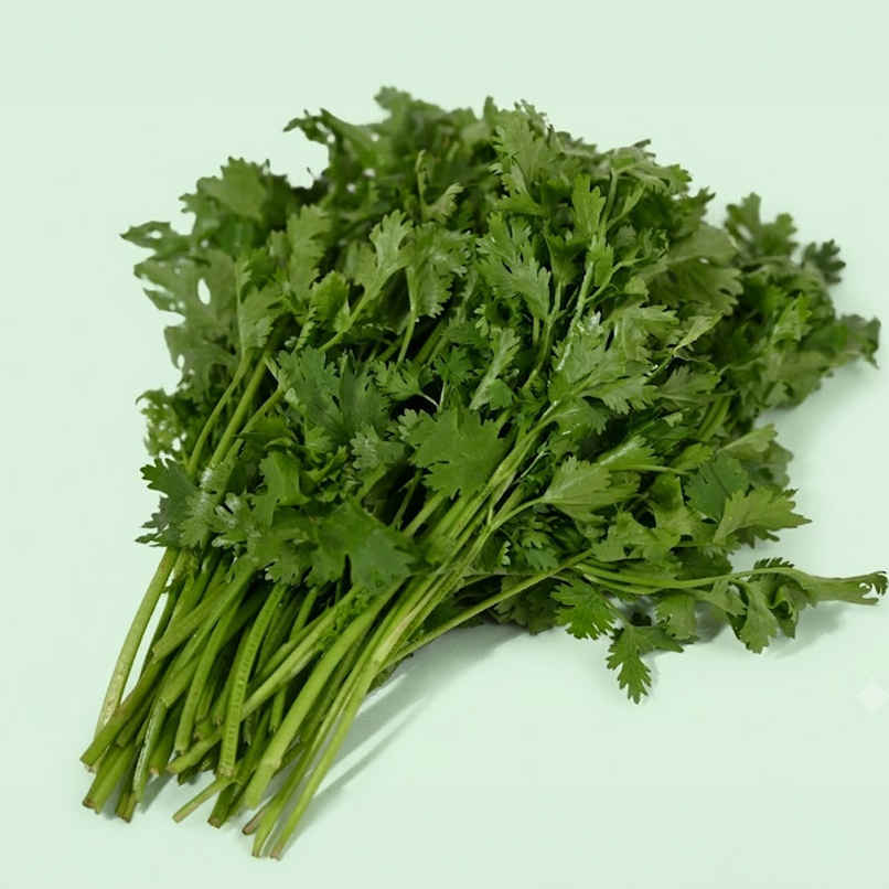 Bloom Coriander Leaves Bloom Coriander Leaves