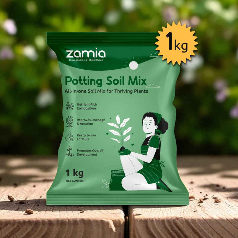 Zamia Potting Soil Mix | Organic Grow Media for Pots, Seeds, Flowers, Vegetables & Garden