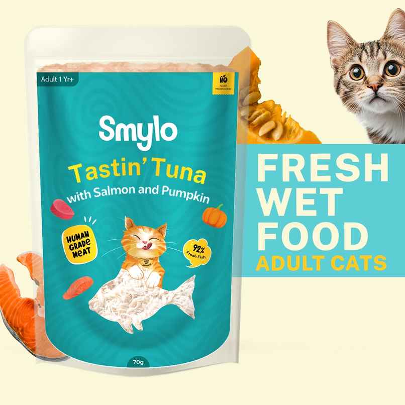 Smylo Adult Tuna & Salmon Wet Cat Food, Fresh & Preservative-Free Smylo Adult Tuna & Salmon Wet Cat Food, Fresh & Preservative-Free