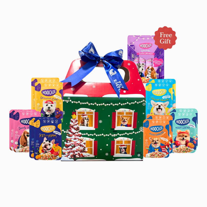 Moochie Dog Wet Food Christmas Hamper | 13 Pouches