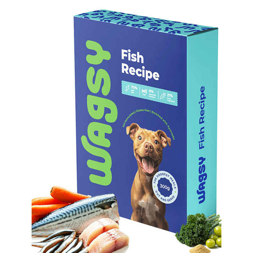 Wagsy - Fish Recipe | Fresh Wet FOOD For Dogs