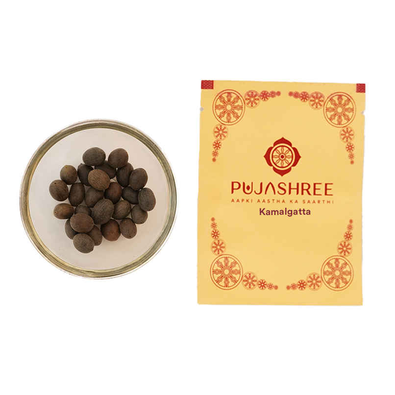 Kamalgatta | Pujashree