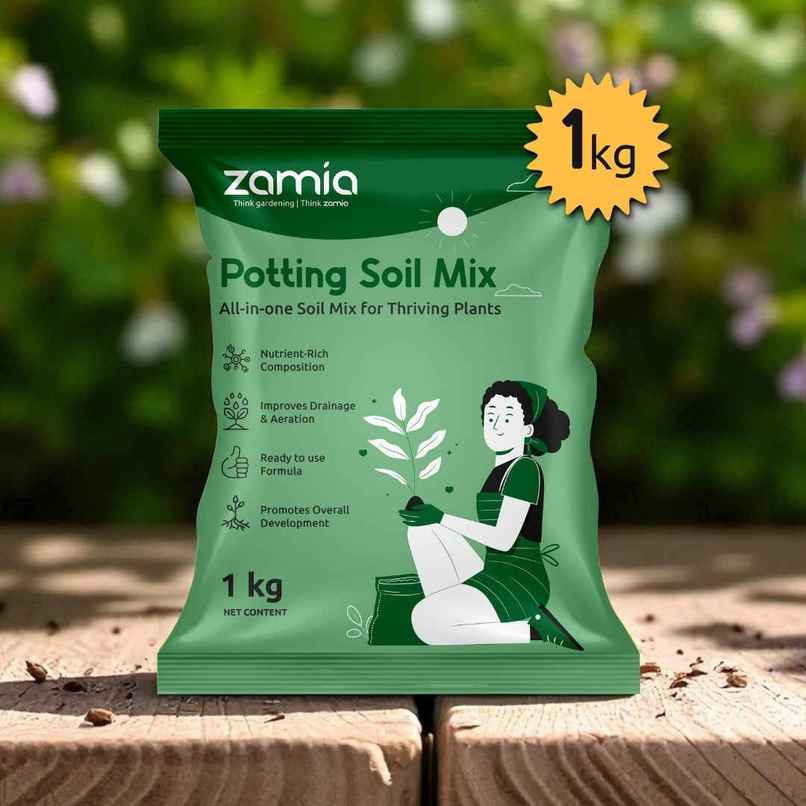 Zamia Potting Soil Mix | Organic Media for Seed, Plants & Vegetables | By Nurturing Green Zamia Potting Soil Mix | Organic Media for Seed, Plants & Vegetables | By Nurturing Green