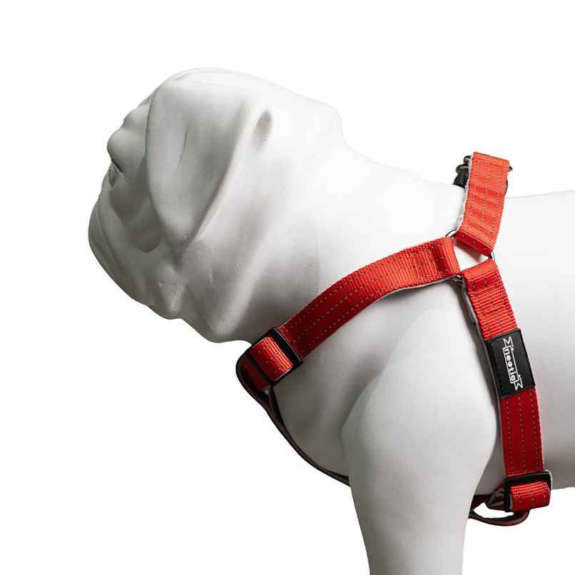 Nootie Premium Plush Padded Harness Red Color With Grey | 20 Mm - Medium