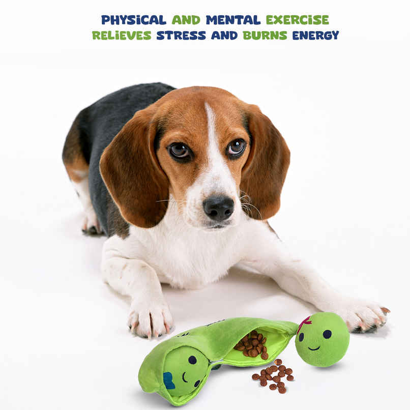 Mutt Of Course 2 Peas In A Pod Pet Toy