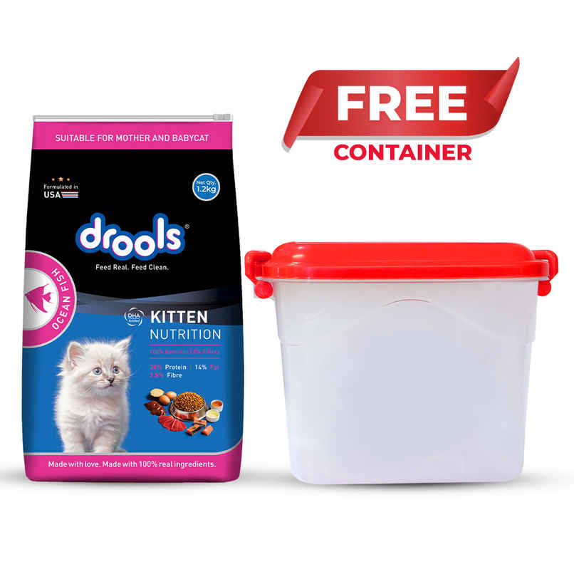 Drools Kitten (1-12 Months) Dry Cat Food With Free Container - Ocean Fish