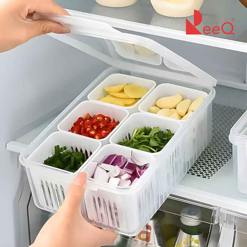 ReeQ Multipurpose Fridge Storage Box with Lid Removable Grid Containers