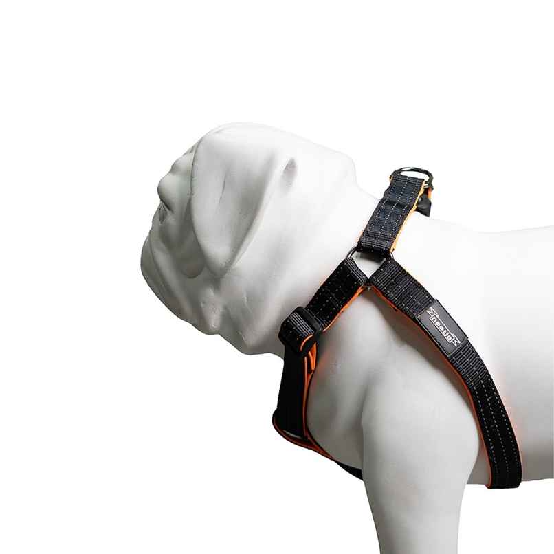 Nootie Premium Plush Padded Harness Black Color | 20 Mm - M - For Medium Dogs And Young Puppies