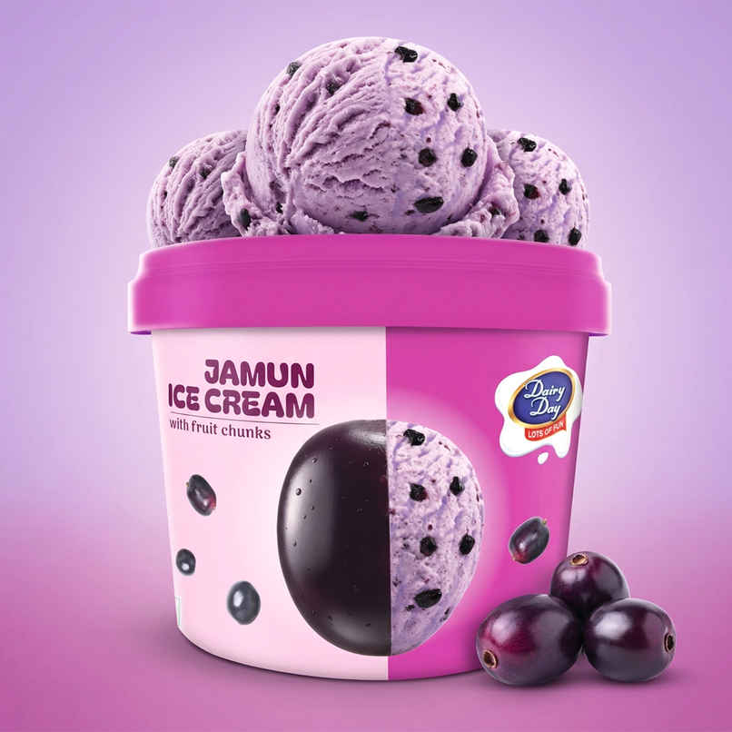 Dairy Day Jamun Fruit Chunks Ice Cream Tub Dairy Day Jamun Fruit Chunks Ice Cream Tub