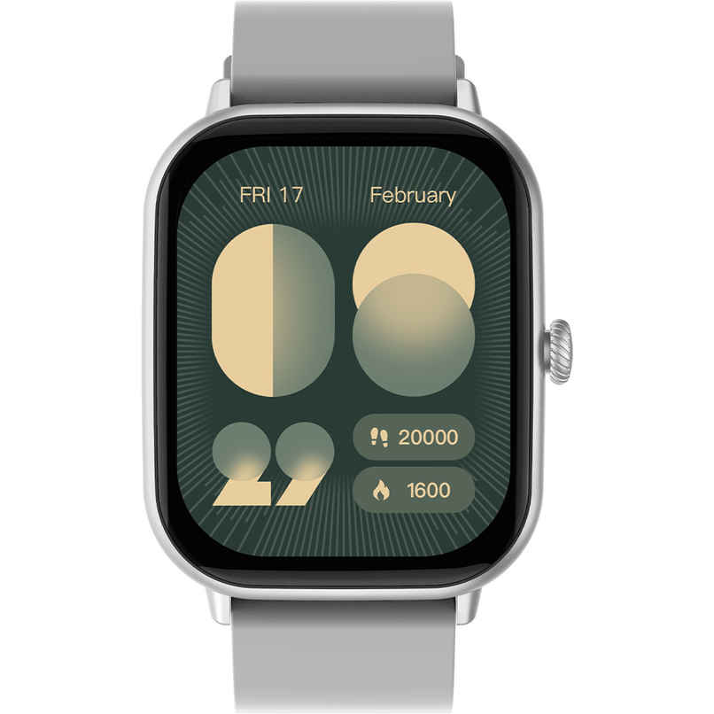 Fire-Boltt Ninja Call Pro Max Smartwatch | 2.01" Display | BT Calling - Grey