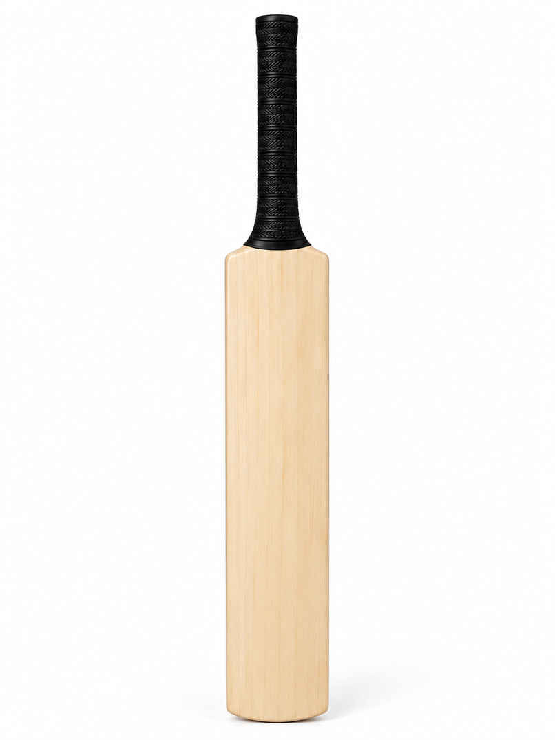 Classic Distributor Signature Cricket Bat | 15 inch | 5+ years