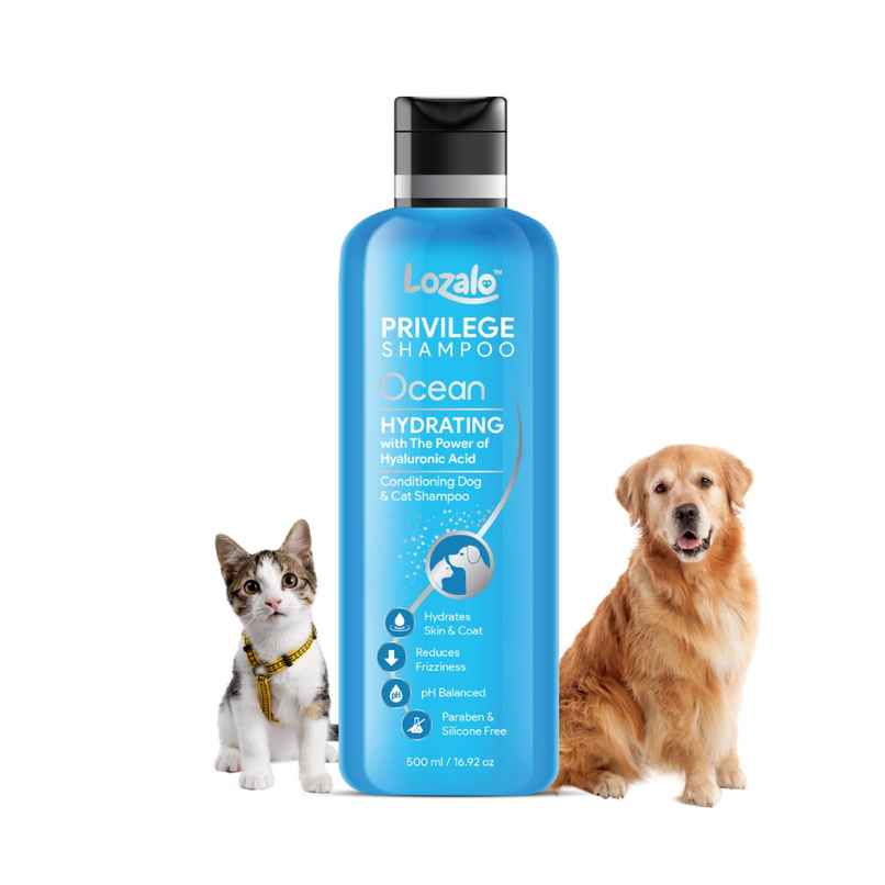 Lozalo Privilege Pet Shampoo | Ocean | Hydrating | Coat Cleansing | Paraben Free For Pets
