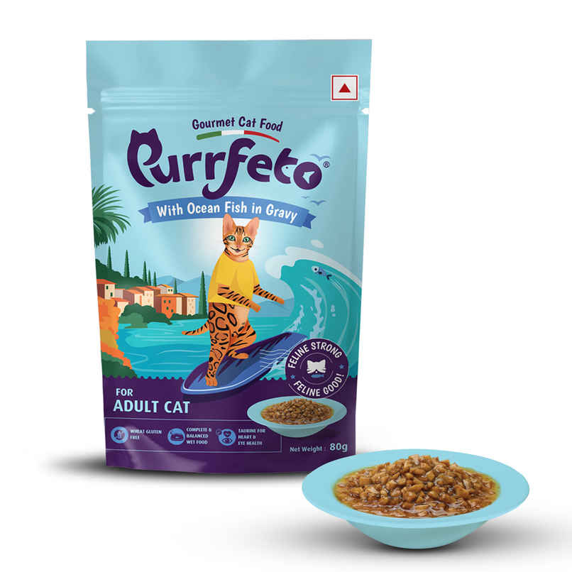Purfetto Wet Cat FOOD With Ocean Fish In Gravy