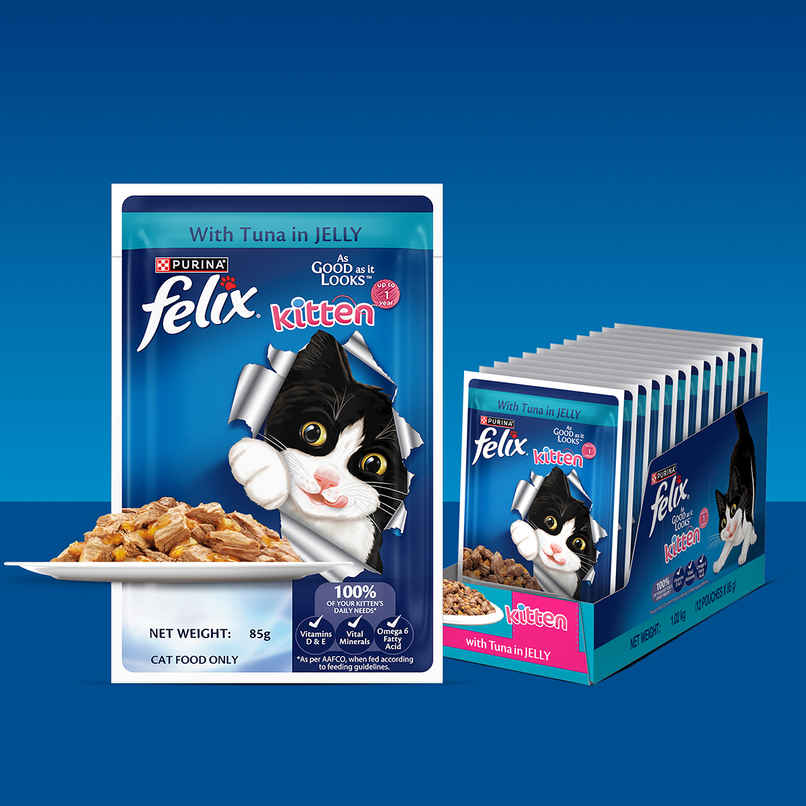 Felix Tuna Jelly Wet Cat Food Kitten | Complete & Balanced Felix Tuna Jelly Wet Cat Food Kitten | Complete & Balanced