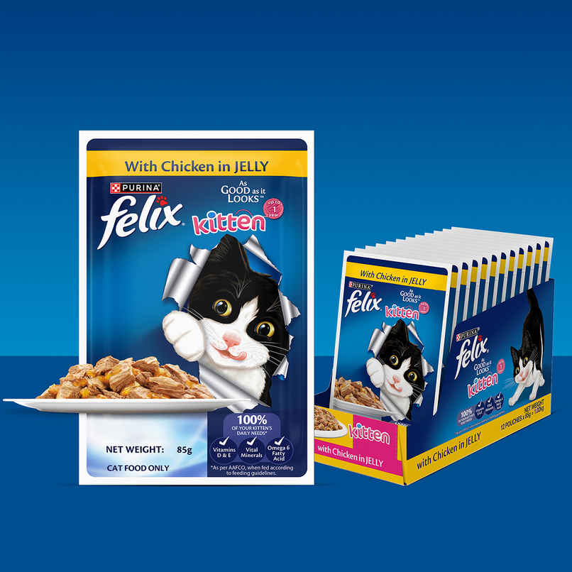 Felix Chicken Jelly Wet Cat Food Kitten | Complete & Balanced Felix Chicken Jelly Wet Cat Food Kitten | Complete & Balanced