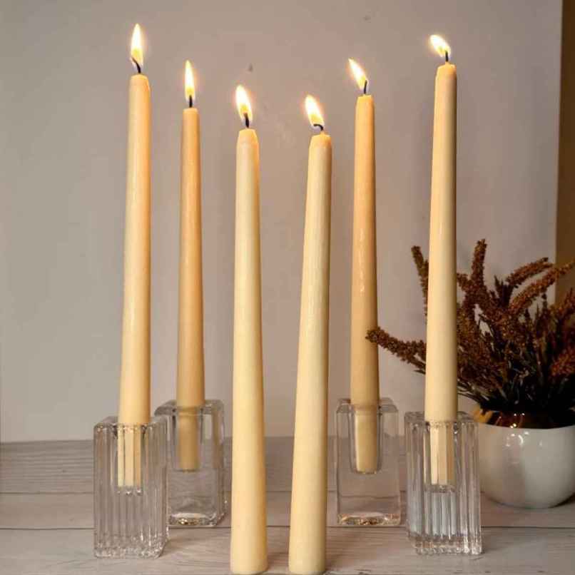 EKAM Scented Taper Candles (6 pcs) Gift Pack | Cedar & Mahogany | 52 g | 6 H Burn | Table Decor EKAM Scented Taper Candles (6 pcs) Gift Pack | Cedar & Mahogany | 52 g | 6 H Burn | Table Decor