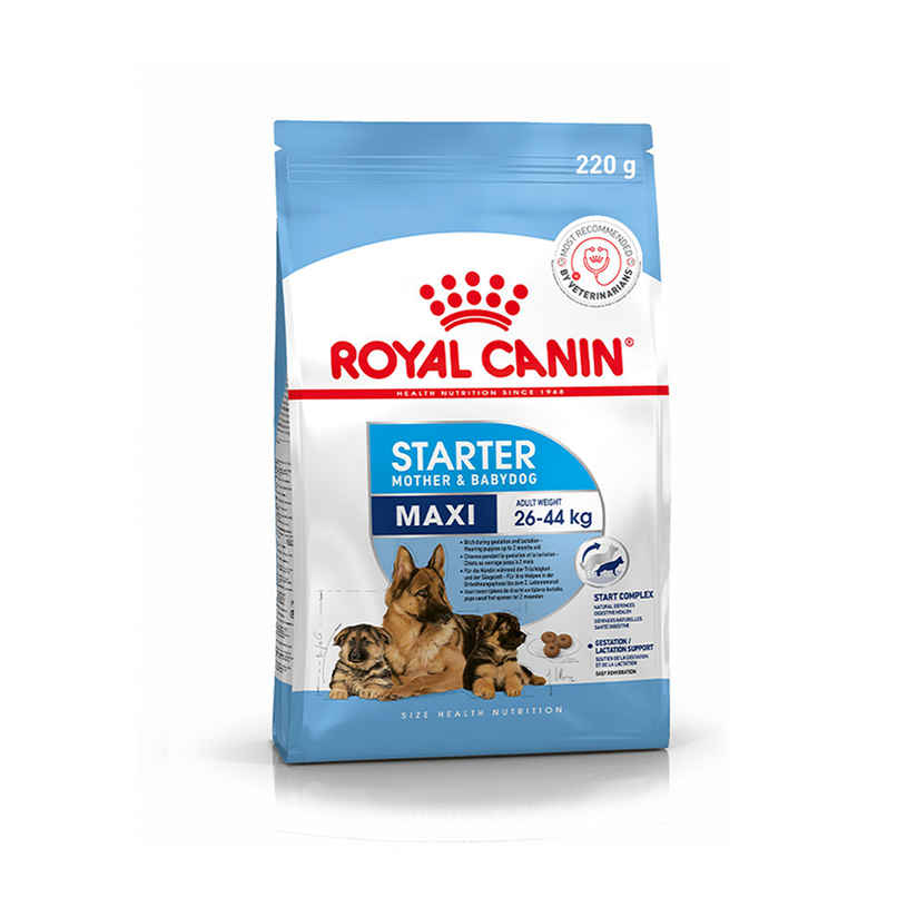 Royal Canin Maxi Starter Dry Food 220g