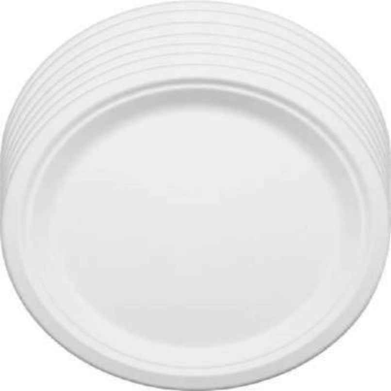 Sugarcane Fibre Disposable Plate | 25 cm | Round Sugarcane Fibre Disposable Plate | 25 cm | Round