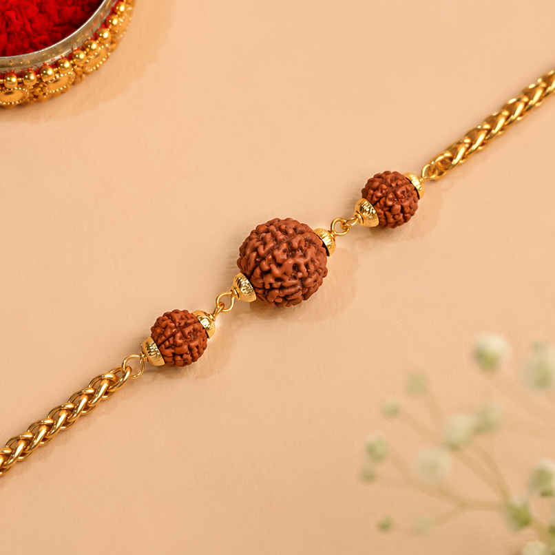 Traditional Rudraksha Metal-Link Rakhi for Brother | Bracelet | Pack of 1 | Tomuncle Traditional Rudraksha Metal-Link Rakhi for Brother | Bracelet | Pack of 1 | Tomuncle