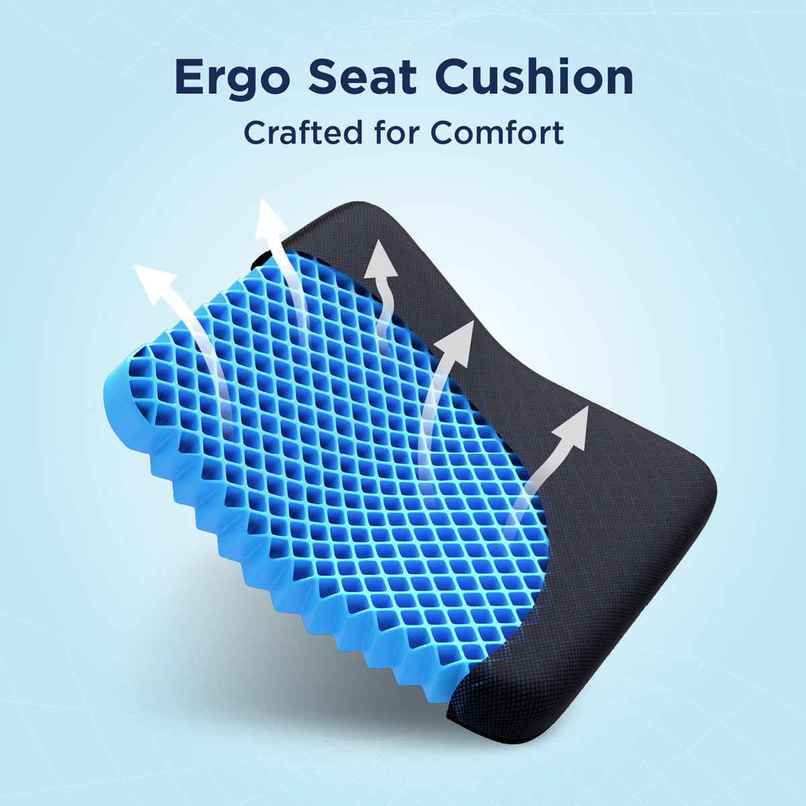 The Sleep Company Back Pain Relief Orthopedic Seat Cushion By TSC