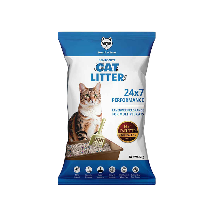 Hachi Wilson Premium Cat Litter Globally No1 Cat Litter