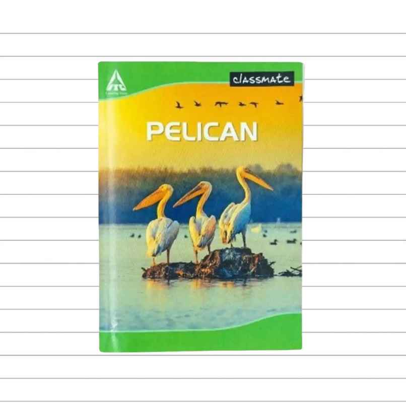 Classmate Longbook Soft Bound Single Line (84 Pages, 30 x 21 cm, Assorted Design)