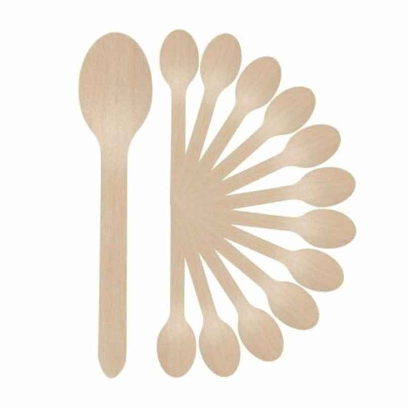 Wood Disposable Spoon | 160 mm