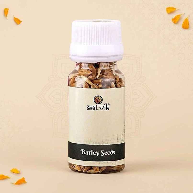 Barley Seeds | Jau | For Hawan & Puja and Navratri | Satvik