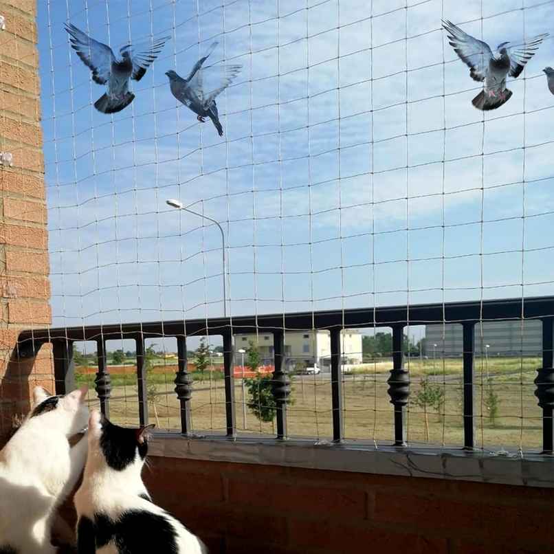 Kuber Industries Nylon Bird Net for Balcony|Child Protection Net|Pigeon Anti Bird Net|8X10|White