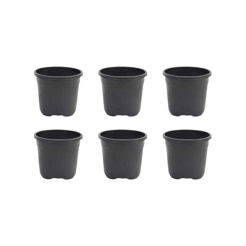 Ugaoo Garden Plastic Pots For Indoor Plants (8 Inch, Balck Color Set Of 6) Plant Container Set Ugaoo Garden Plastic Pots For Indoor Plants (8 Inch, Balck Color Set Of 6) Plant Container Set