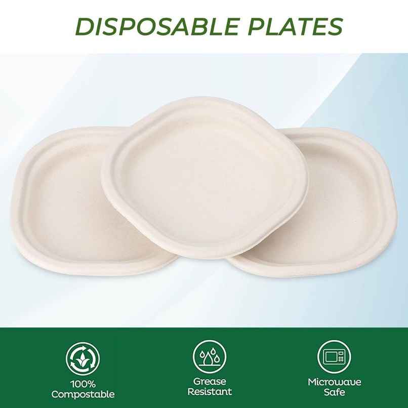 Sugarcane Fibre Disposable Plate | 7 inch | Square Sugarcane Fibre Disposable Plate | 7 inch | Square