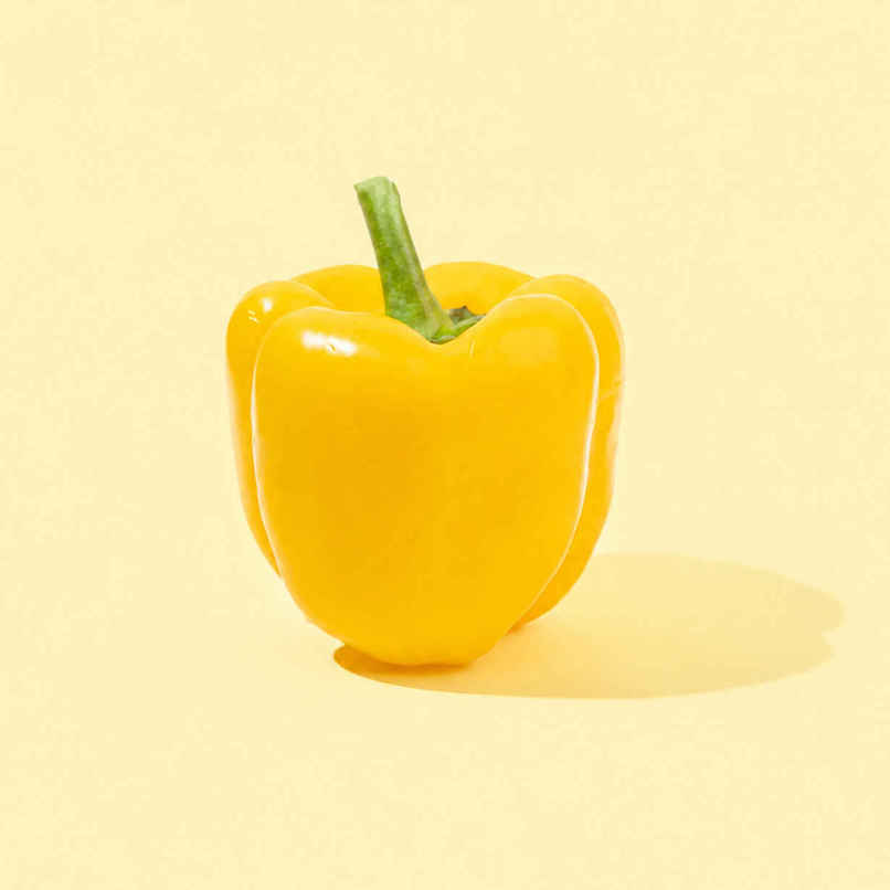 Bloom Capsicum Yellow