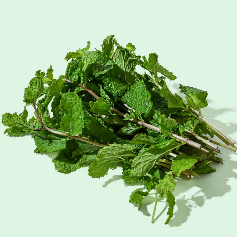 Bloom Mint Leaves