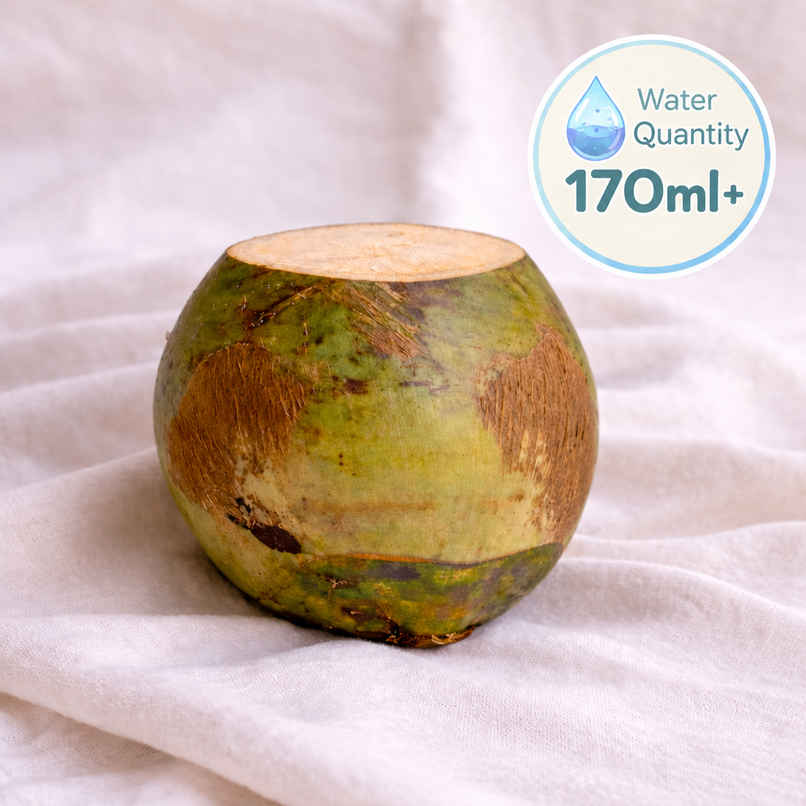 Tender Coconut Economy Tender Coconut Economy