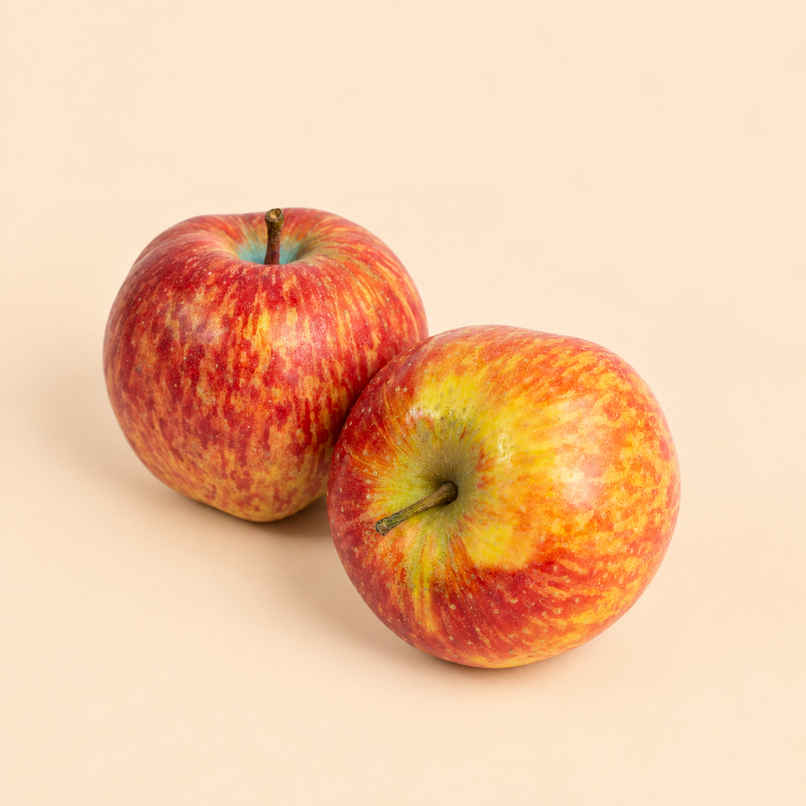 Bloom Apple Shimla