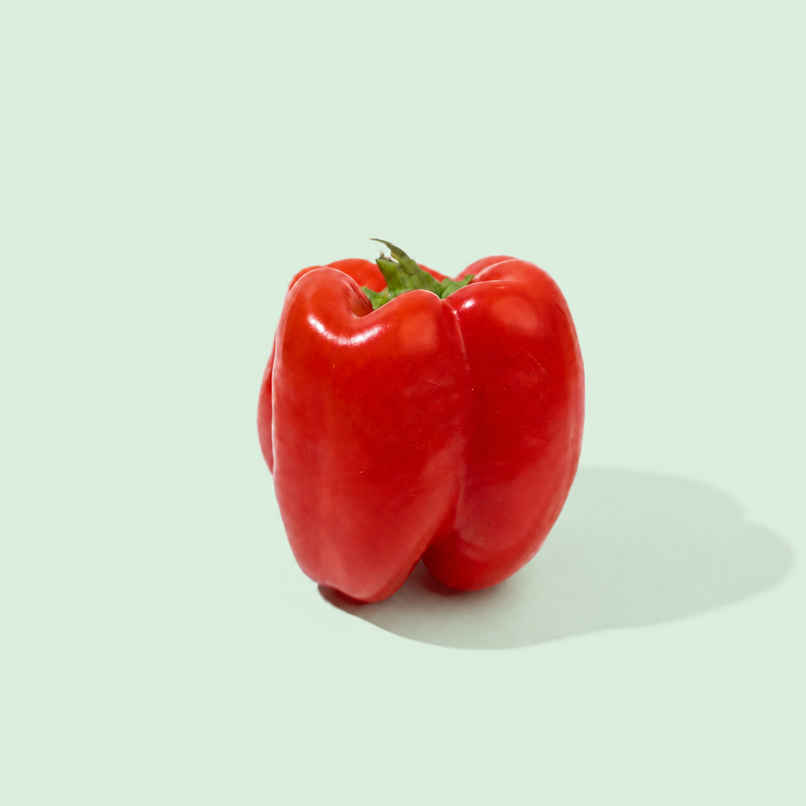 Bloom Capsicum Red