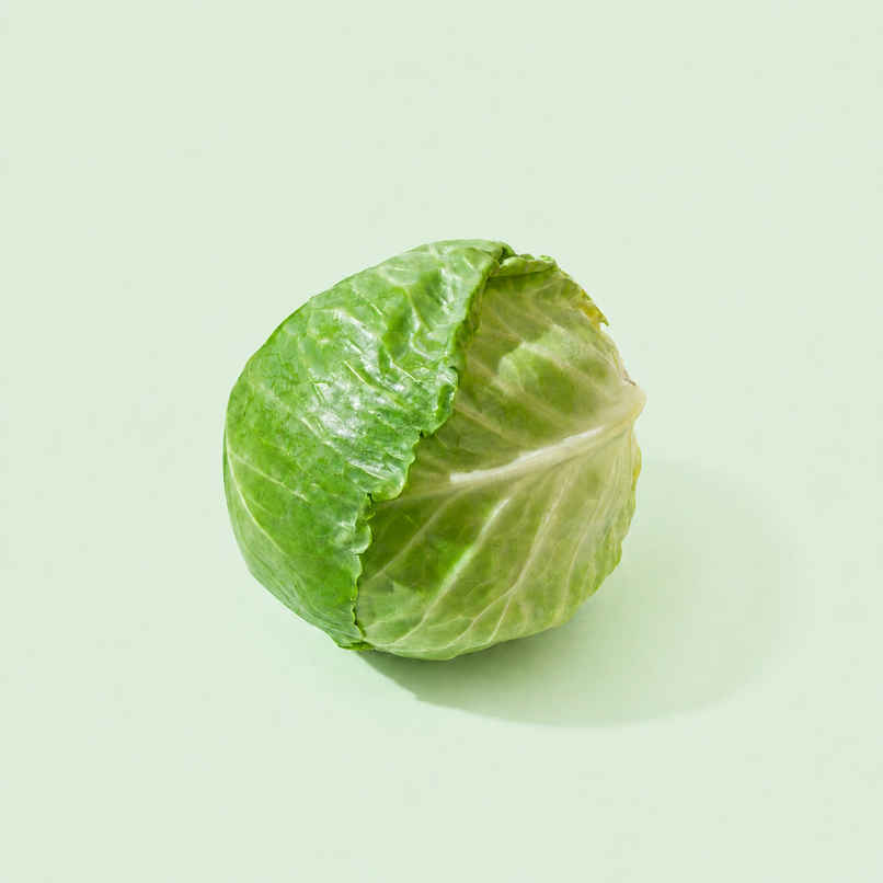 Bloom Cabbage