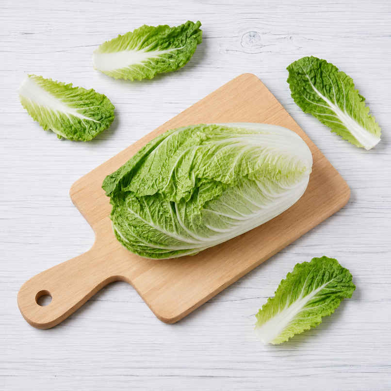Cabbage Chinese Cabbage Chinese