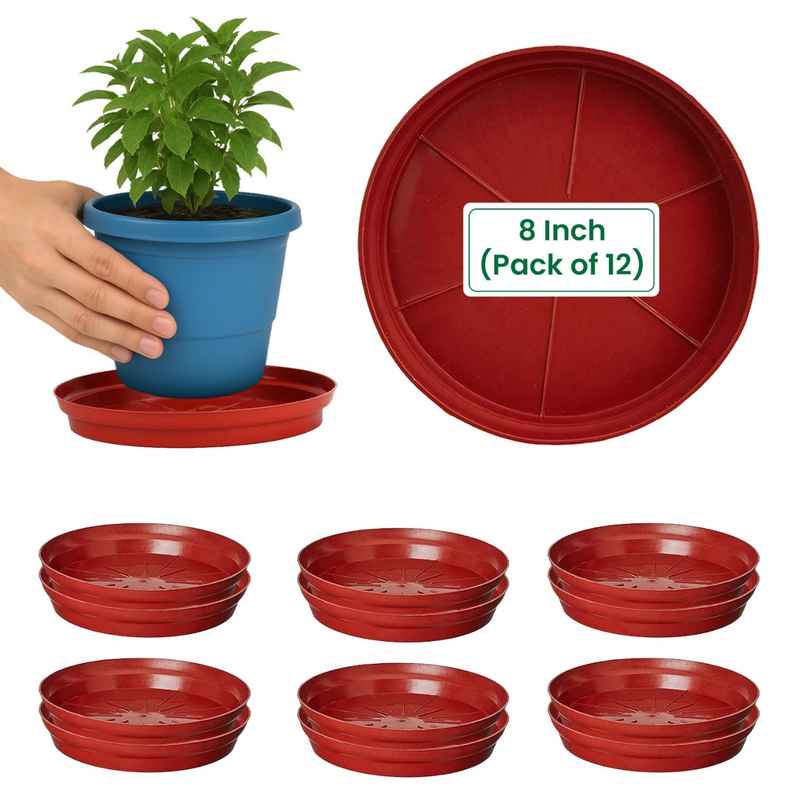 Cinagro 8 Inch Planter Bottom Trays | Durable Plastic | Plant Drip Trays/Saucer